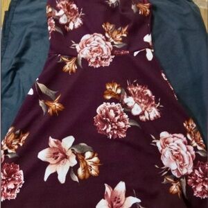 Blu Pepper Rich Red Mini Dress